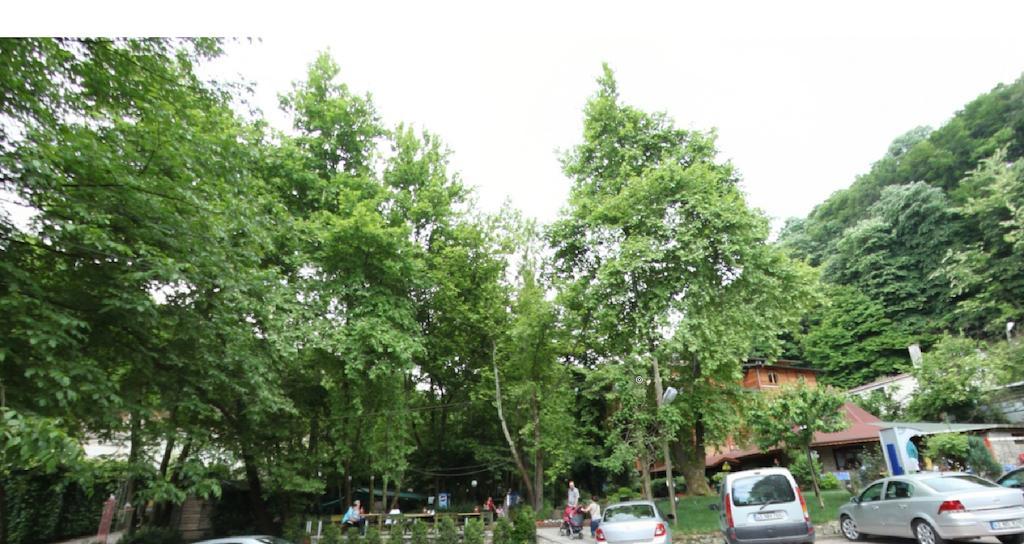 Yazicilar Hotel Masukiye Exterior photo